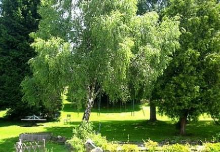 Hotel La Clairiere Chambon-sur-Dolore المظهر الخارجي الصورة